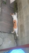 長～く・・・