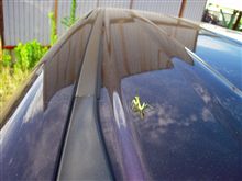 カマキリ