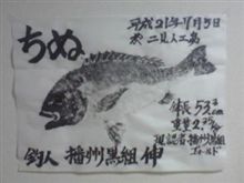 魚拓が仕上がって来ました。