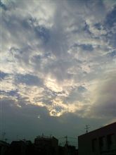 涼しい。。。と思ったら雨だ(￣。￣)