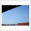 ７月１７日　快晴な金曜日の朝 ...