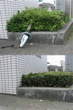 炎天下でも　ジェイソン用務員　出動！！！！。