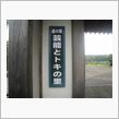 ココのために
