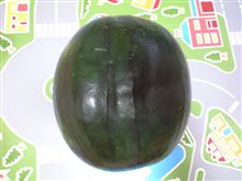 毎年恒例②