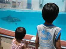 須磨海浜水族園へGOGO♪