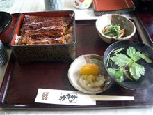 うなぎを食べに