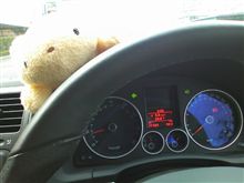 今日はぶらぶら♪