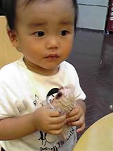 息子の為に遠征計画(・∀・)