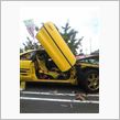 ダルウイング
