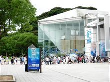 水族館「海きらら」オープン！