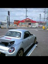 コペン進化論