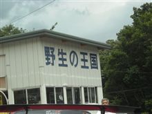 エビス最高!!!!!