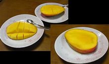 今日は私の…。