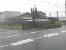 物凄い…