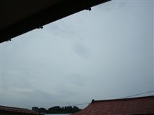 ７月２２日　相変わらずスッキリしない天気の水曜日、おはです～♪
