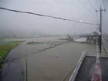 昨日の洪水
