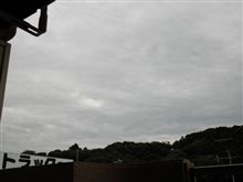 曇りですなぁ