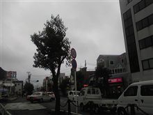 皆既日食…