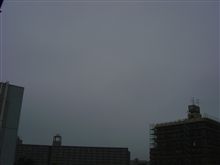 だめだこりゃ・・・