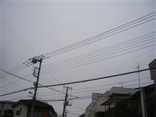 全然、見えそうにないので次回を考えてみる（ノд｀）