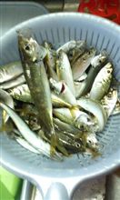 釣り