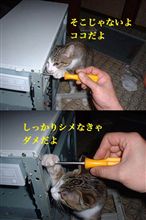 新ＰＣ　初日
