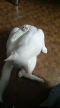 自由自在 自由自在