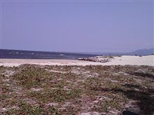 Beach Time