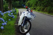 久しぶりにカブ吉でトコトコと散歩！