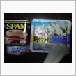 ソウメンチャンプル