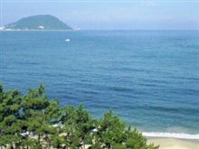 海 海