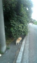 新たなる魔界入口？ｗ