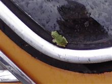 戻り梅雨