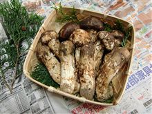 季節はもう秋？