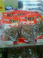 浜名湖に到着！