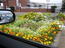どうでもいいブログ…（20090725）
