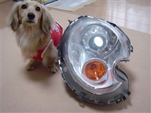 目玉のお化けGET！！
