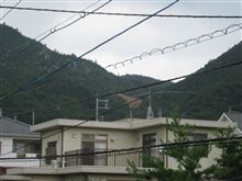 雨