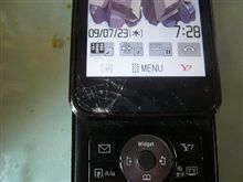 蜘蛛の巣がこんなところに！！