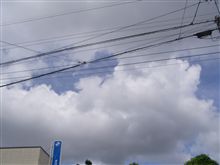 セミ、うるさい！