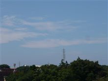夏らしい天気ですね