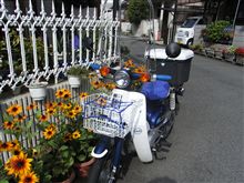 朝からちょいとカスタム