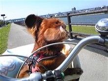 ドライブ