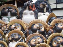 たぬき たぬき
