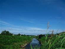 鶴見川ポタ