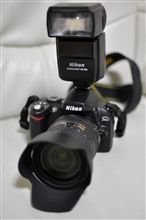 SB-600試し