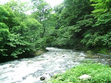 涼を求めて
