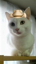 カウボーイ風