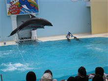 須磨水族館