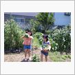 獲れたて野菜を肴に